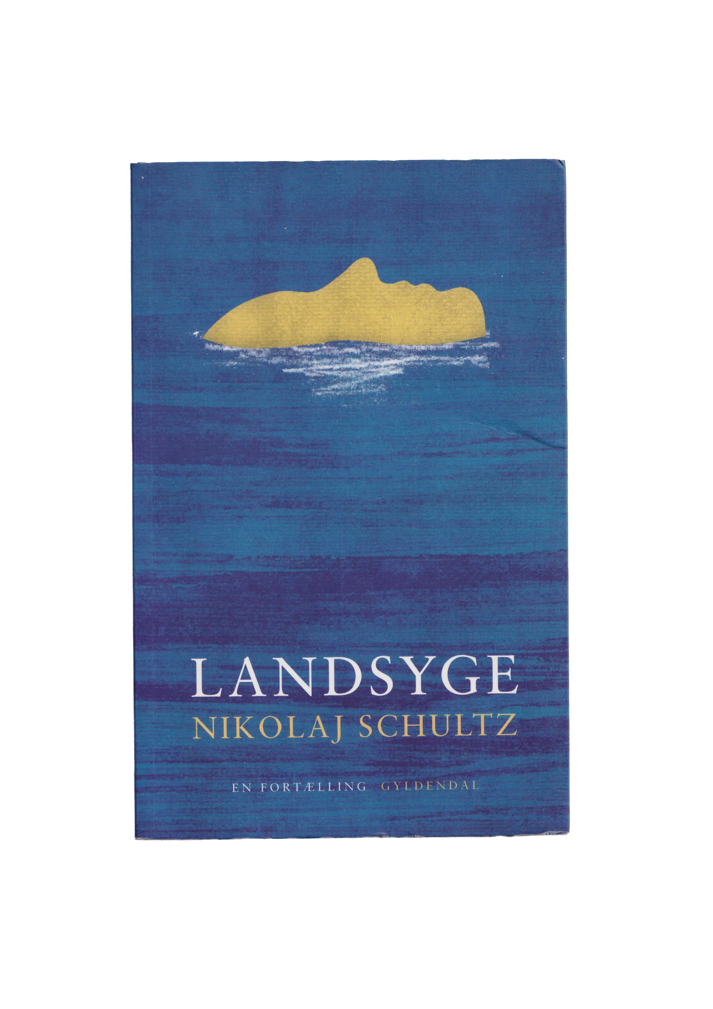 Landsyge